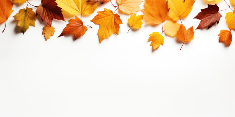Naklejka na ściany i meble Autumn seasonal background with long horizontal border made of falling autumn golden, red and orange colored leaves on isolate transparency background, PNG