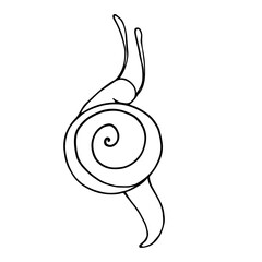 Line sketch,doodle snail.Vector graphics.