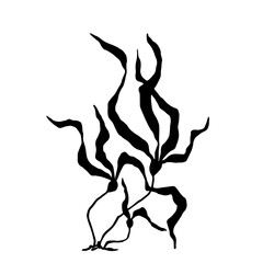 Silhouette,doodle sea grass,algae.Vector graphics.