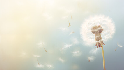 Dandelion Dreams, A Soft Silhouette