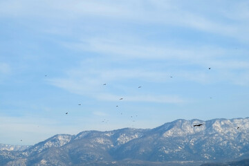 Birds flying over scenery snowy mountains peaks in cloudy blue sky. Amazing nature view with hills in Batumi, Georgia. Natural picturesque landscape beautiful background in blue colors.
