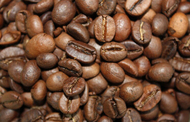 coffee beans background