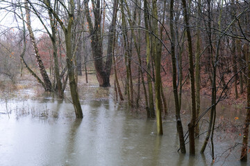 Konzept Hochwasser: Überflutetes Feld mit Bäumen nach Dauerregen - obrazy, fototapety, plakaty