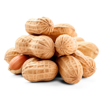 many peanuts on isolate transparency background, PNG