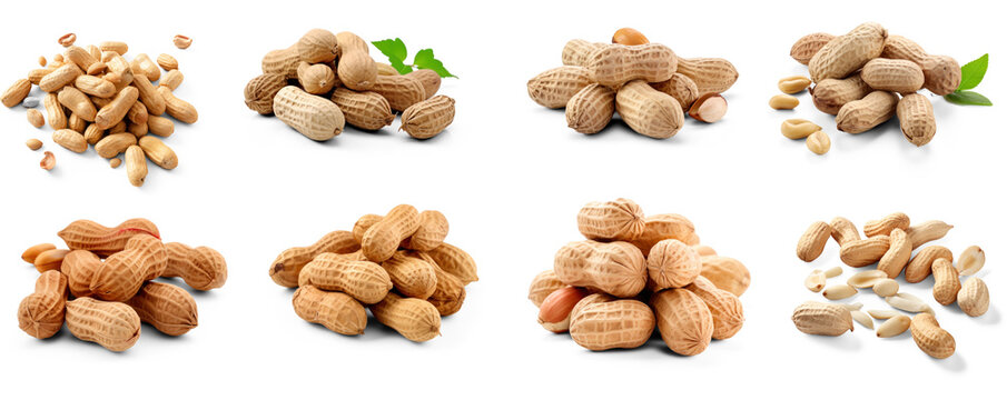 Collection of many peanuts on isolate transparency background, PNG