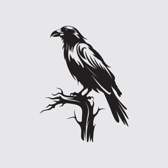 Fototapeta premium Raven Vector Art, Icons, and Graphics