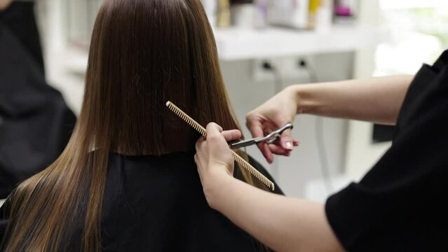 Unrecognisable hairdresser cutting female client hair with professional barber scissors and comb and making stylish haircut short bob hairstyle in beauty salon. Hair care, hair salon and hairstyling.