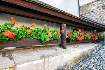 Castle flowers in a pot
