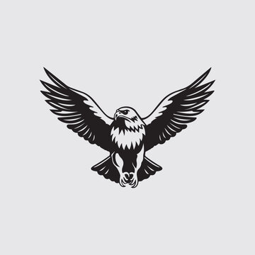 Eagle Vector Images