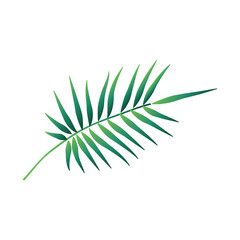 floral bouquet blosom