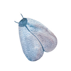 watercolor illustration of butterflies, moths and moths. A picture of a hand-drawn insect with wings. Postcards with natural motifs in soothing colors