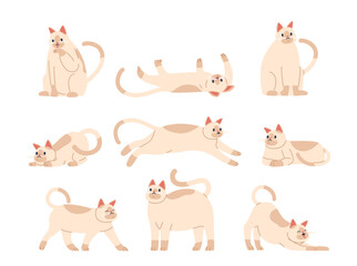 Cat Poses Capture Feline Elegance And Playfulness. From The Classic Stretch To The Curious Pounce Movement Vector Set