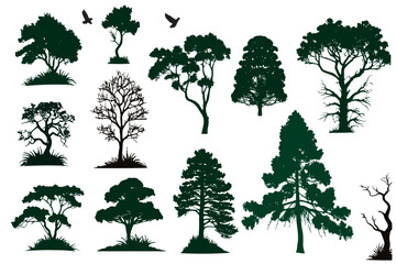 Big collection trees. Ink sketches set isolated on white background. Hand drawn vector illustration. Retro style.