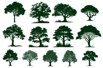 Sketch Trees Forest and park coniferous and deciduous trees. Vector isolated green nature set against background