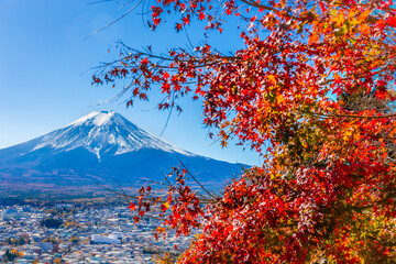 Mount Fuji framed with red maple leaves beautifully in autumn.