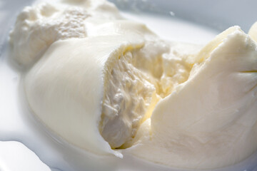 Burrata pugliese, cibo tradizionale italiano 