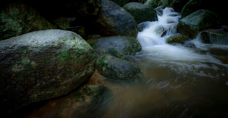 Waterfall is flowing in jungle. Waterfall in green forest. Mountain waterfall. Cascading stream in lush forest. Nature background. Rock or stone at waterfall. Water sustainability. Water conservation.