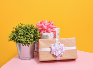 Festive atmosphere, gifts and green plant. Birthday surprise and holiday mood.