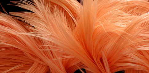  Peach-coloured feathers