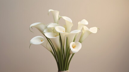 bouquet of snowdrops