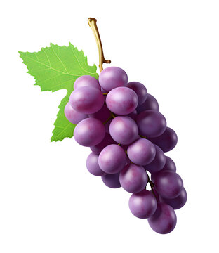 cute 3d render, purple grapes, fruit, food, fresh, PNG file, isolated background