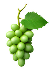 cute 3d render, green grapes, fruit, food, fresh, PNG file, isolated background