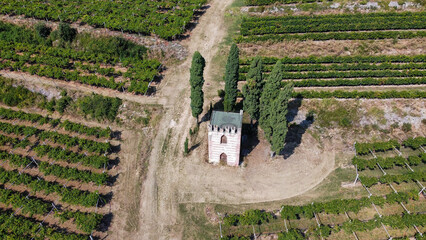 aerial view of an old tower immersed in the Soave vineyards
