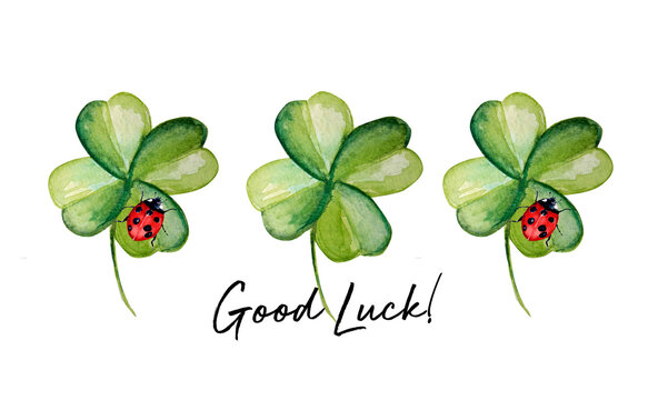 Good luck! Hand drawing artwork. Green clover with ladybug.