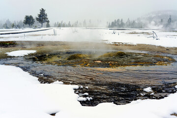 Winter Snowing Geothermal Pool Yellowstone