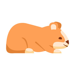Cute hamster eating. Cartoon hamster character.Funny animal a pet.Isolated on white background.Vector flat illustration.