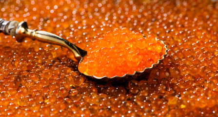 Red Caviar in a spoon background. Close-up of salmon fish roe caviar. Delicatessen. Texture of...