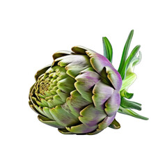 Artichoke isolate on transparent background, png file