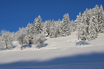 Winterlandschaft bei Gais, Appenzell-Ausserrhoden, Schweiz
