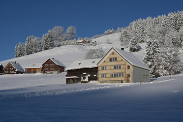 Wohnhaus und Stall in Winterlandschaft, Kt. Appenzell Ausserrhoden, Schweiz