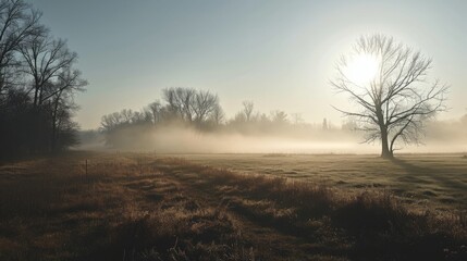 Fototapeta na wymiar a foggy field with trees and a blue sky