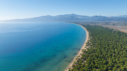 Aerial photo of the pine tree forest in Schinias beach near Athens, Greece
