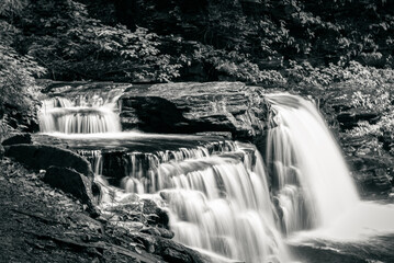 Black and White Cayuga Falls