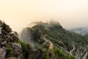 Trail to nowhere