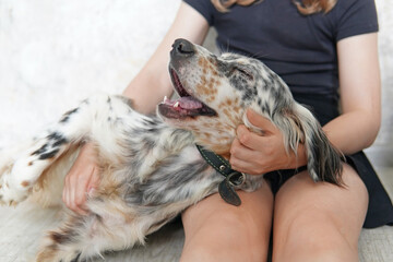 The dog is lying on the child's lap