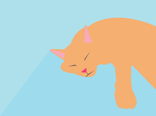 black cat lying down