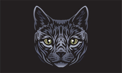 Russian_Blue_Cat_on_dark_background