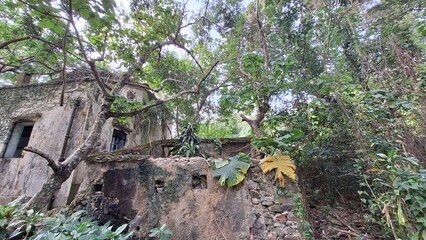 A torn and abandoned village house in the countryside of Hong Kong