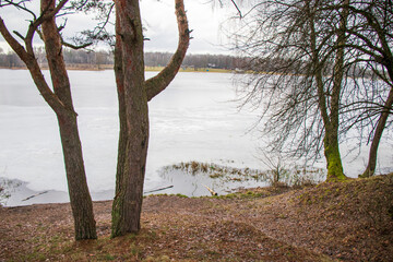 Landscape shot of the lake during cold season. Nature