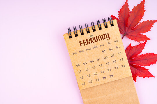 February 2024 monthly calendar and fall leaves on pink color background.