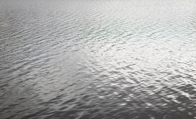 Landscape shot of the lake during cold season. Nature