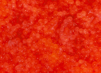 Red caviar close up background