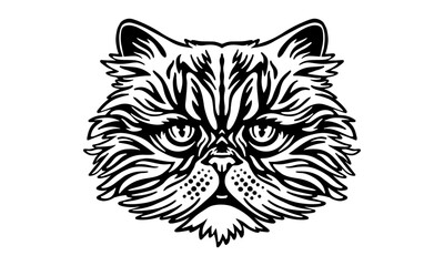 Persian_Cat_on_white_background