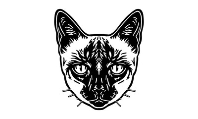 Siamese_Cat_on_white_background