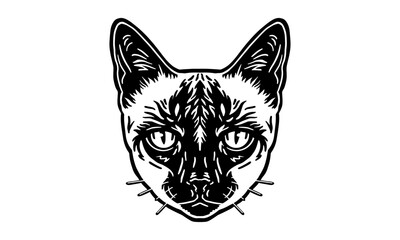 Siamese_Cat_on_white_background