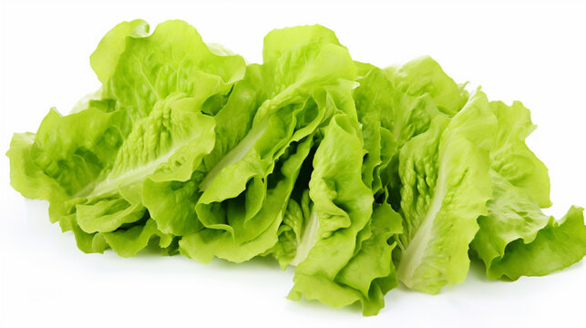 Fresh green lettuce salad leaves isolated on alpha layer background. Generative Ai